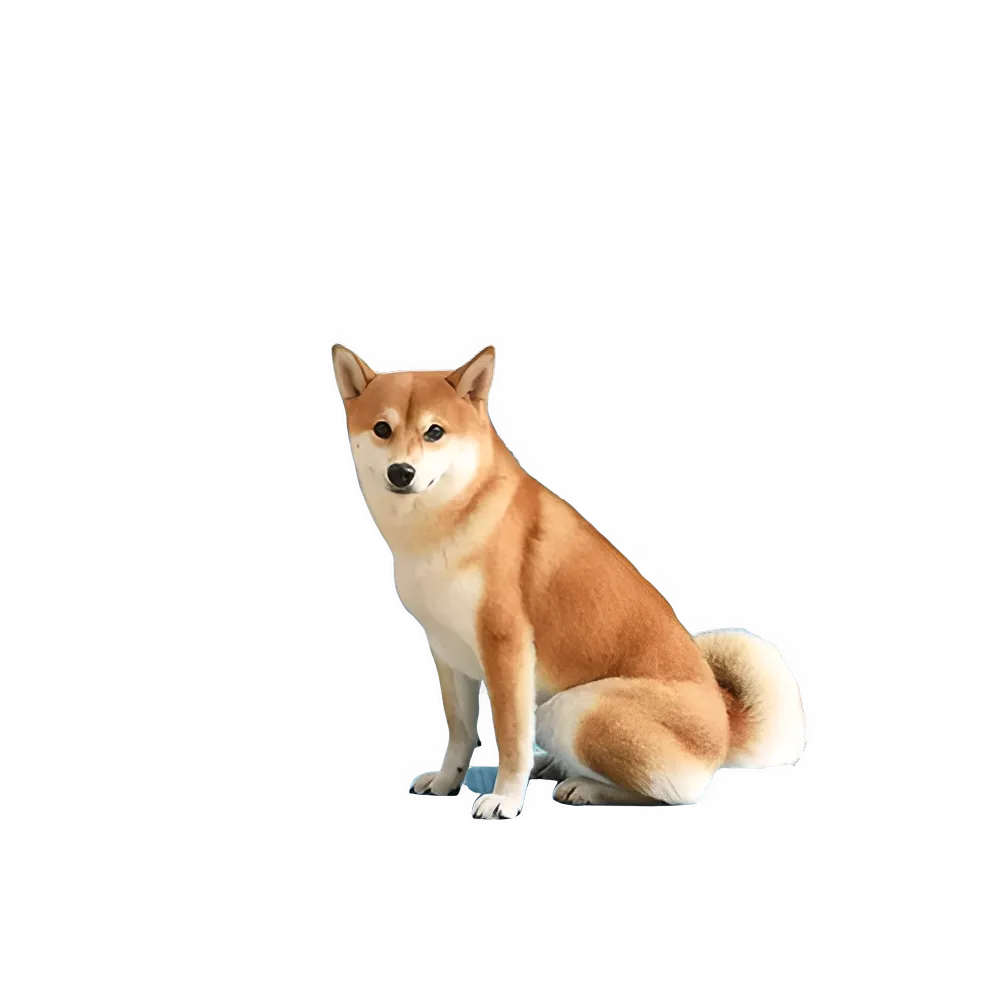 1b384ea3-70ff-4225-840f-064a7f5e5d8e