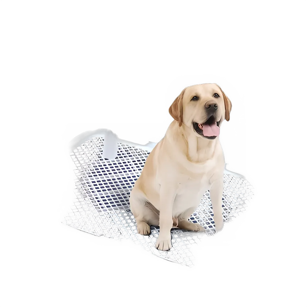8b221133-0c87-451e-a5df-d09aac8eea39
